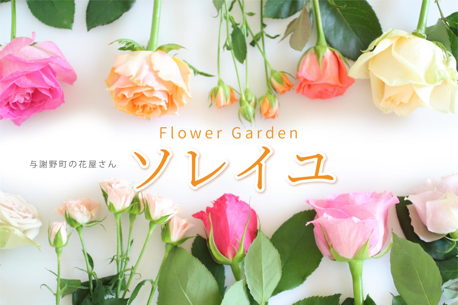 Flower Garden ソレイル